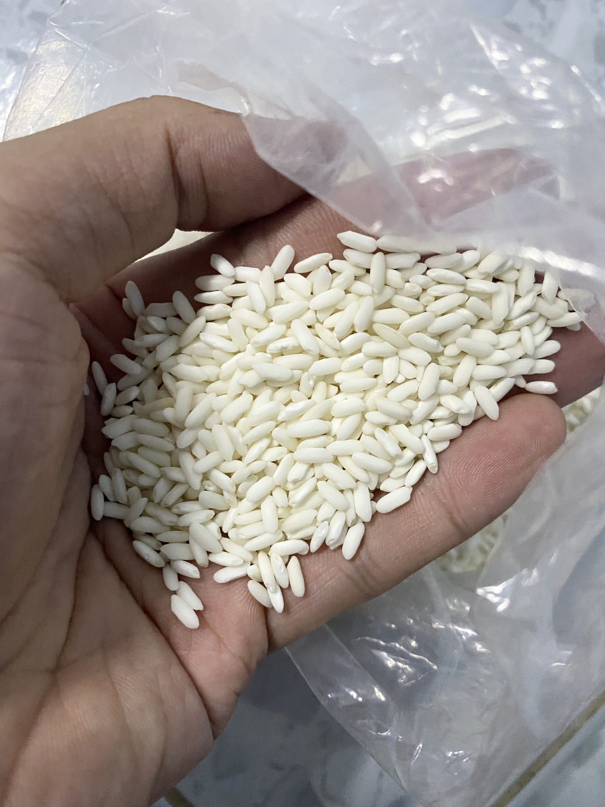 Nếp cái hoa vàng 1kg