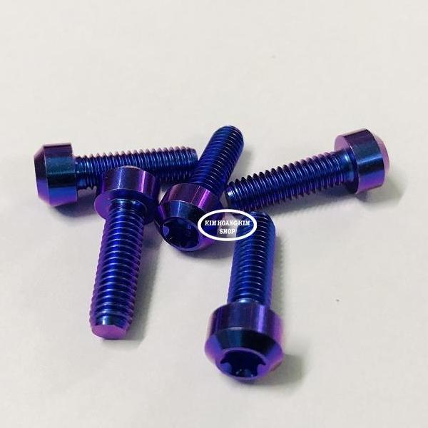 5 con Ốc Titan GR5 Đầu Trụ 6li 2 Xanh Tím (Titan 100% )