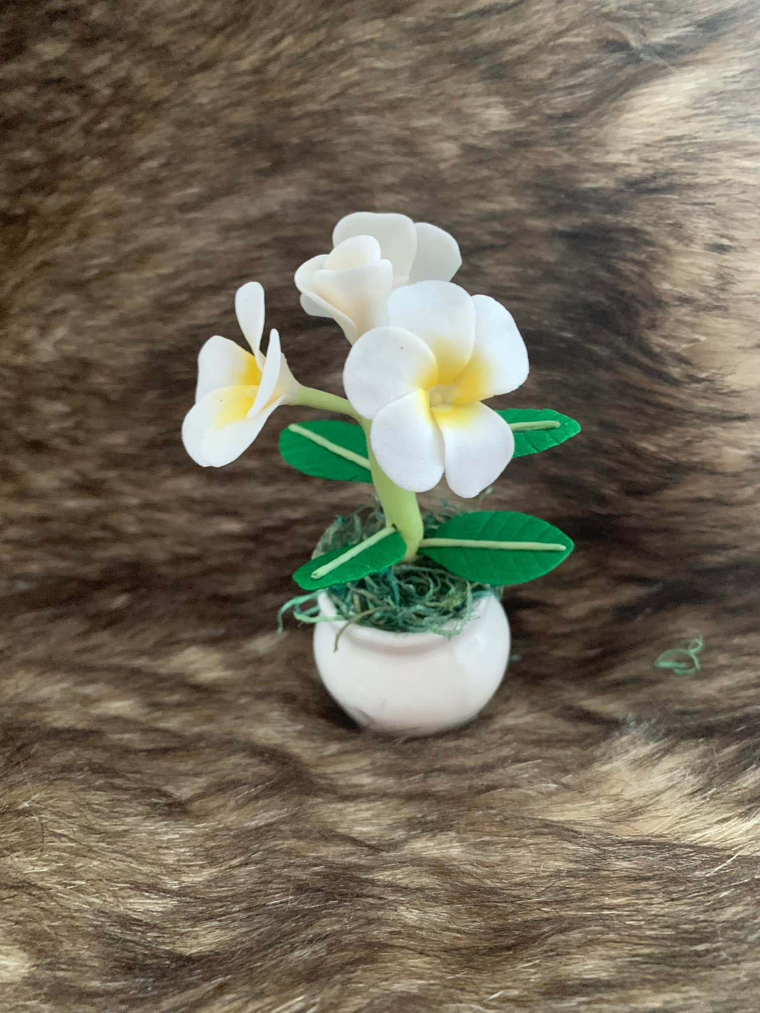 hoa sứ đất sét mini