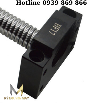 Gối Đỡ Trục BF Cho Bộ Đai Ốc Vitme