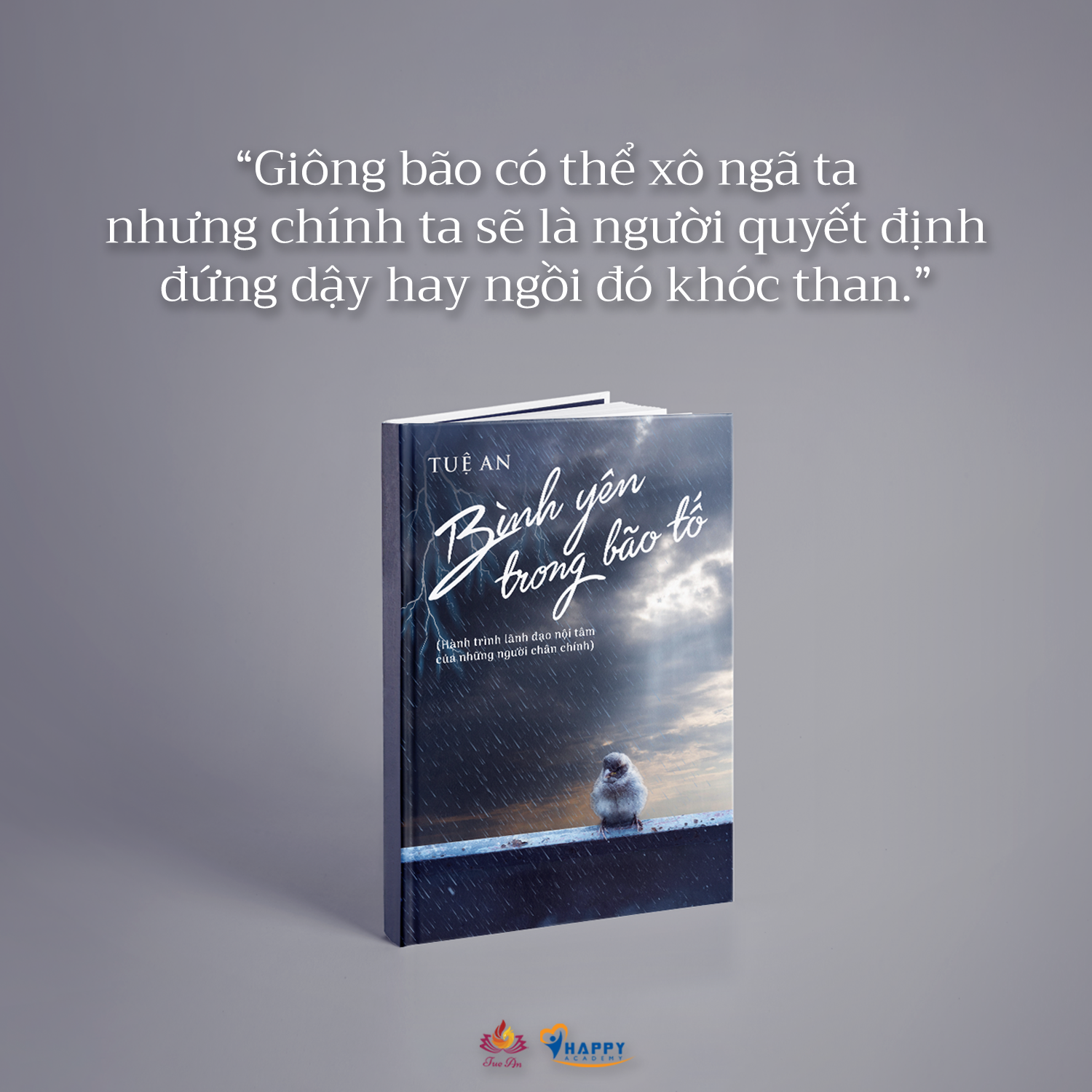 Sách Bình Yên Trong Bão Tố - Tuệ An