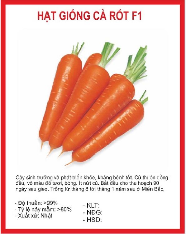 Hạt giống cà rốt chịu nhiệt Nhật - Gói 100 Hạt