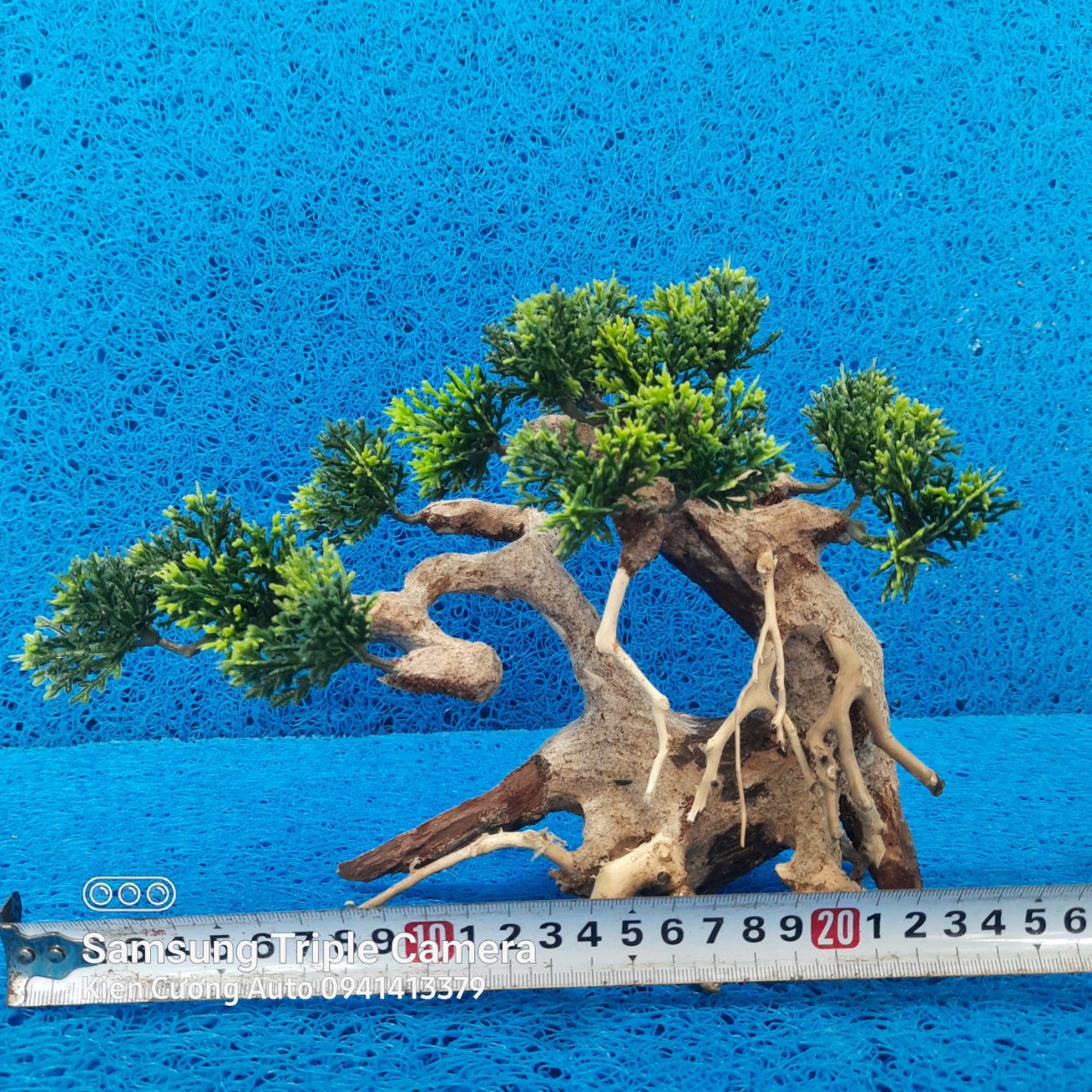 Mô hình Cây gỗ lũa thủy sinh Có tán lá dùng cho bể cá cảnh, Gỗ lũa các SIZE