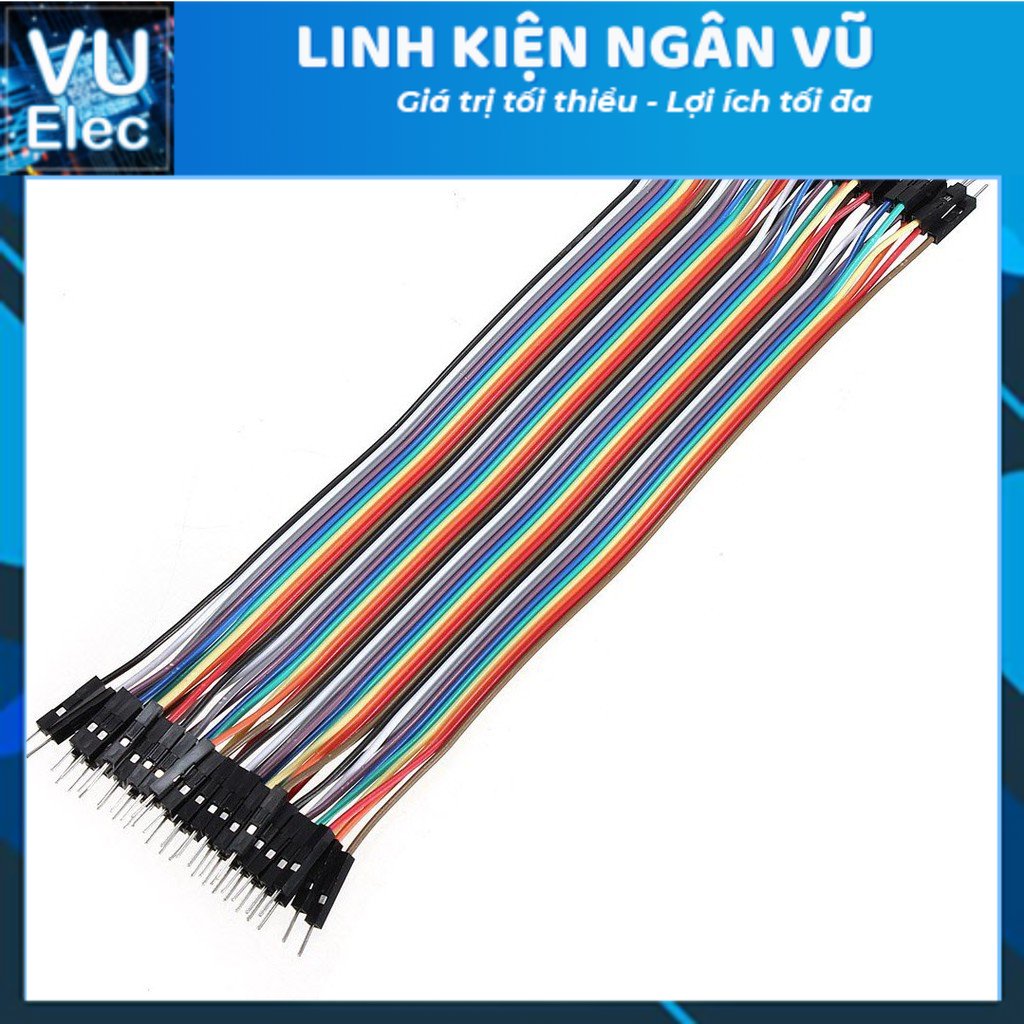 Dây Cắm Board Test Tệp 40 Sợi Hai Đầu Đực