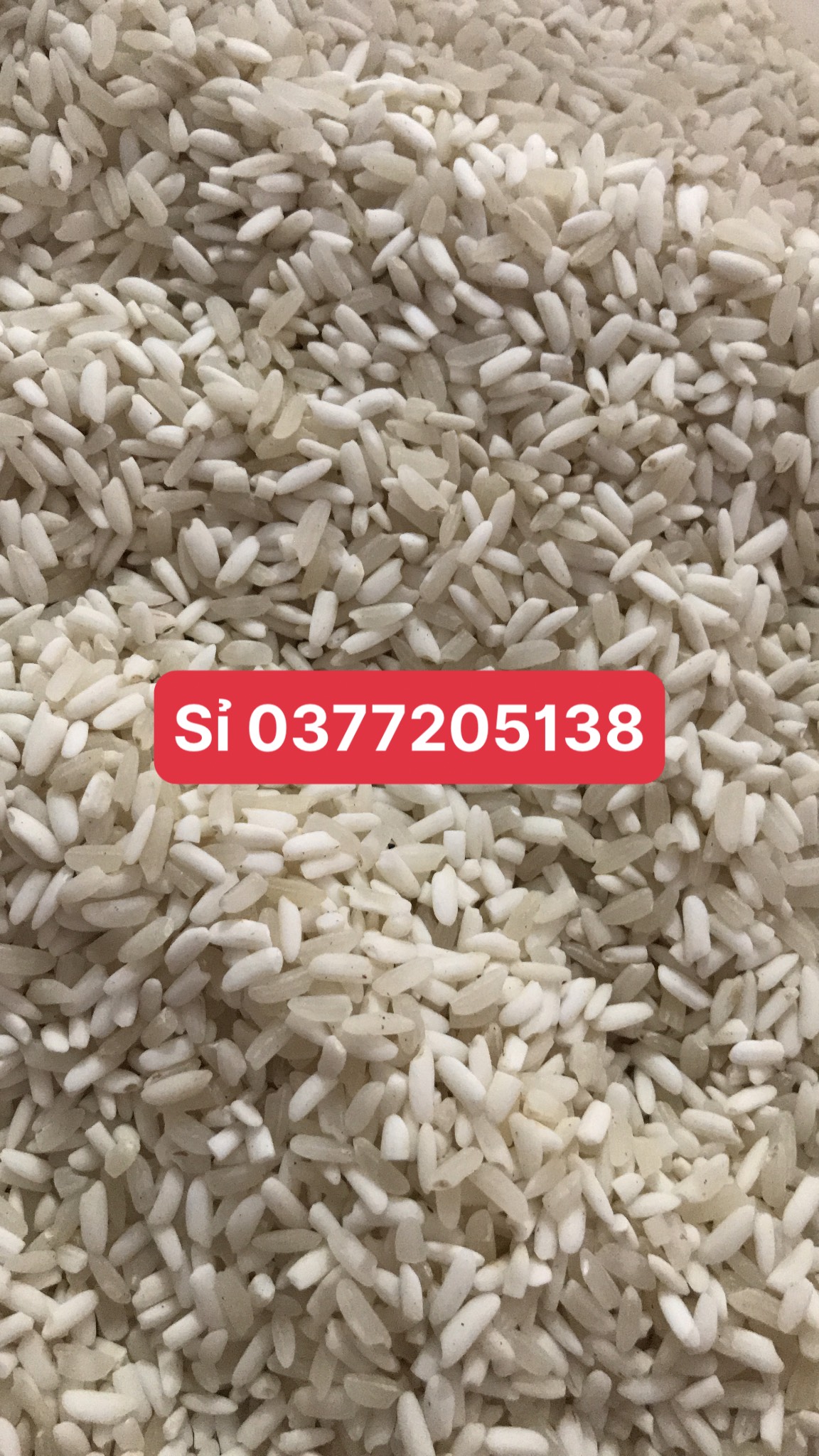 Gạo nếp điện biên (1kg)
