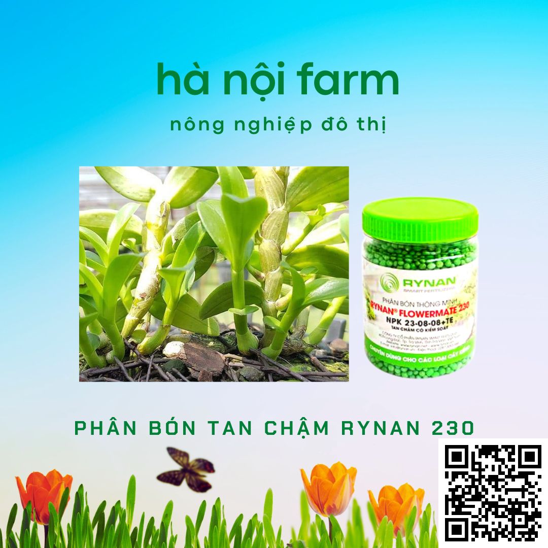 phân bón thông minh, tan chậm rynan 230. hũ 150g