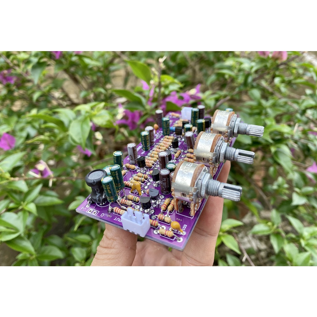 Mạch âm sắc 12V Hi-End 10 tranzitor