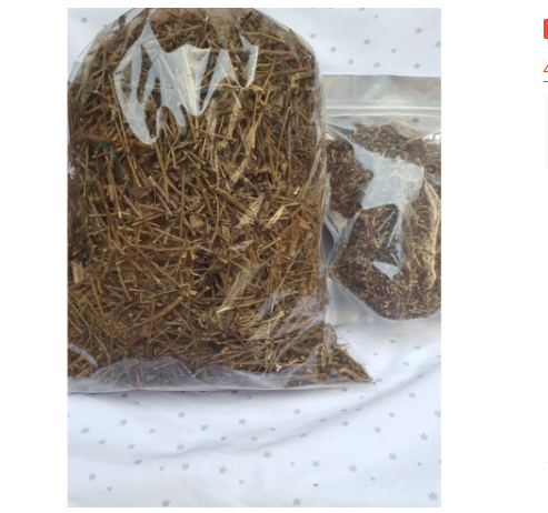 Cà gai leo khô 1kg GT020