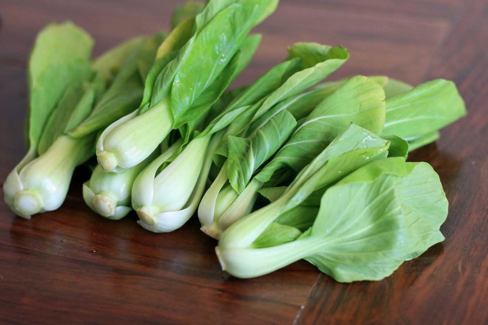 Hạt Giống Cải Thìa Cao Sản gói 20gr hat giong rau sach thuy canh Nongnghiepxanh