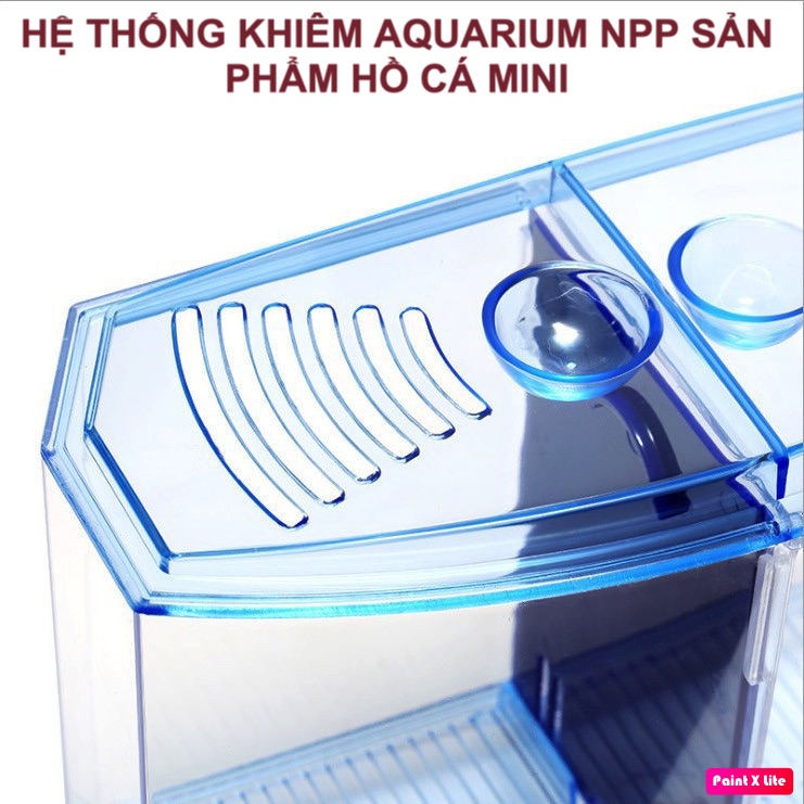 Bể cá betta mini 2 ngăn bằng nhựa - Hồ cá mini cho văn phòng