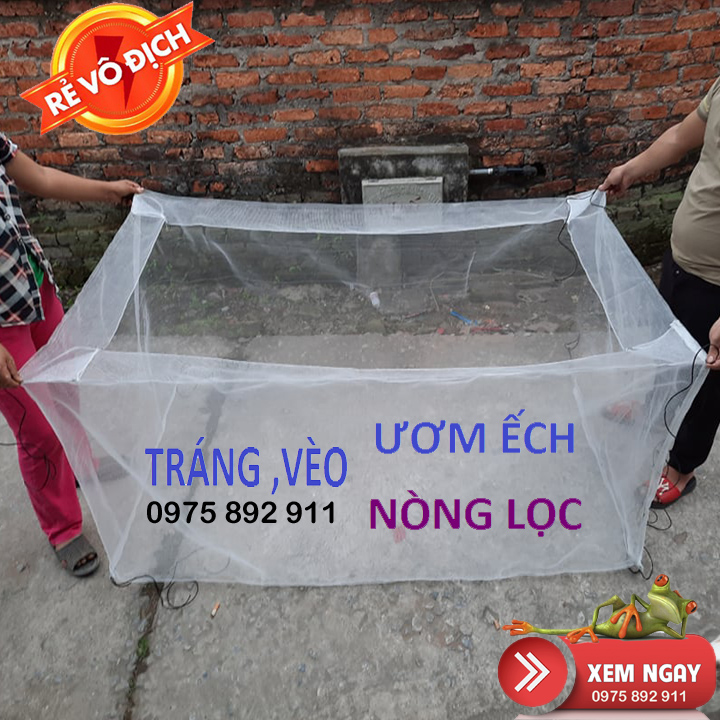 lồng - tráng nuôi ếch - cho người tập nuôi