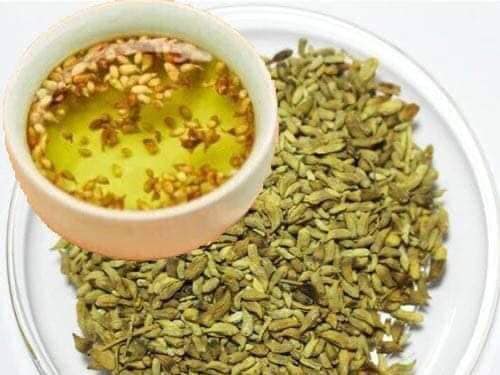 cây hoa hèo giống tốt cho sức khẻo