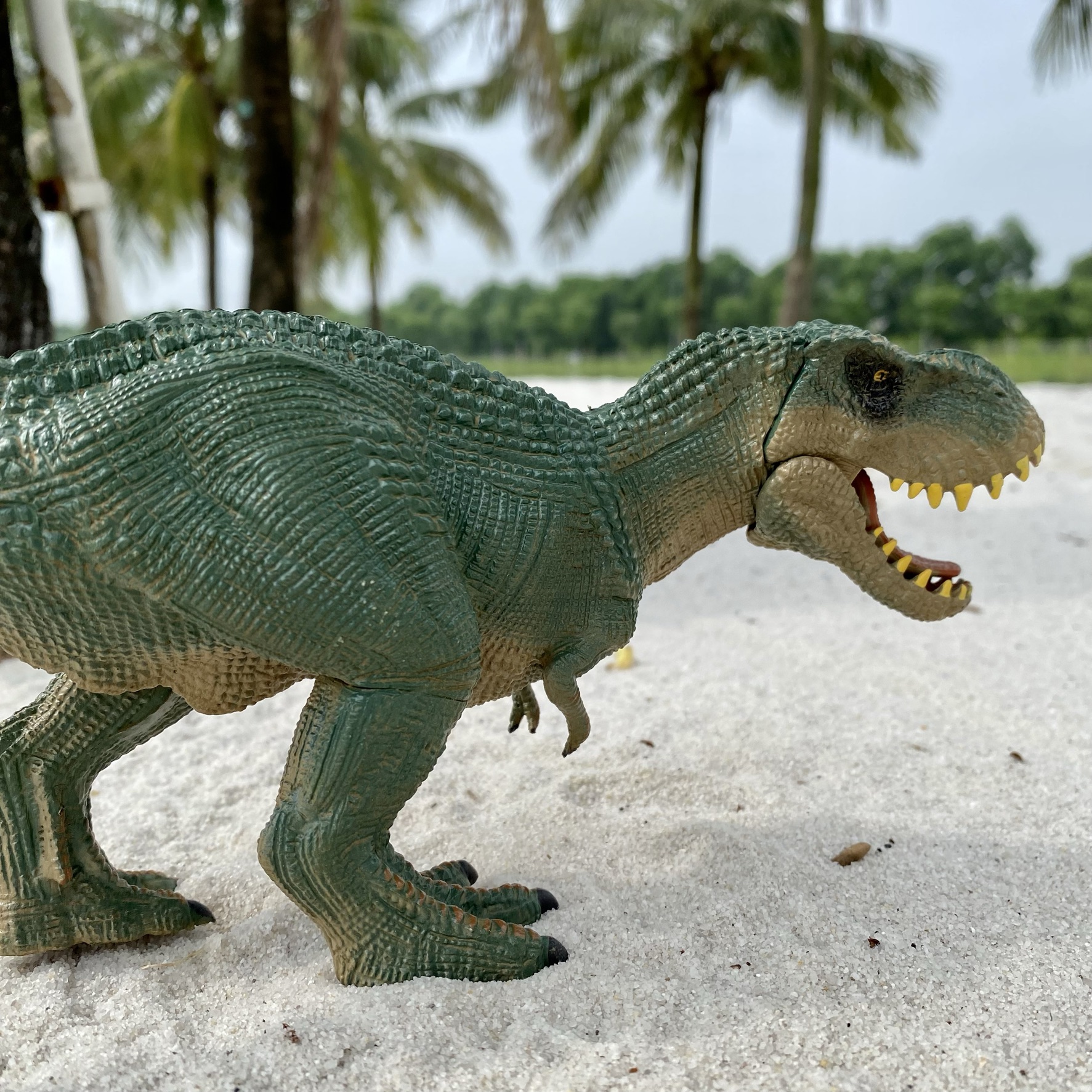 Mô Hình Khủng long bạo chúa T Rex đồ trưng bày