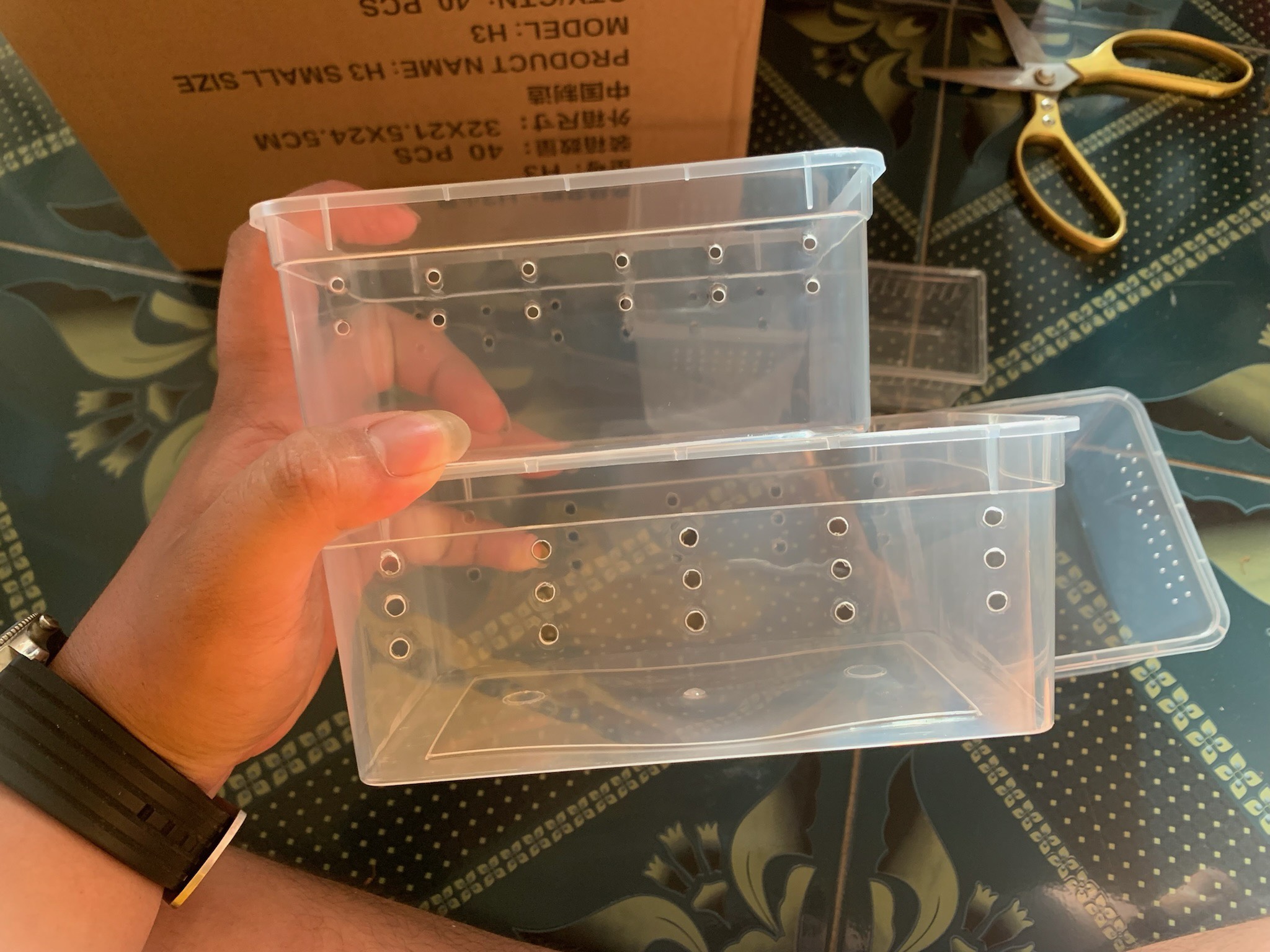 Hộp chuyên dụng nuôi bò sát pet chữ nhật size trung dành cho thú cưng GINA GARDEN