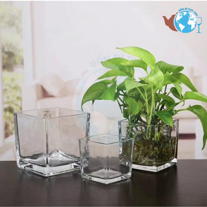 [HCM]Hồ cá vuông 10 cm x 10 cm