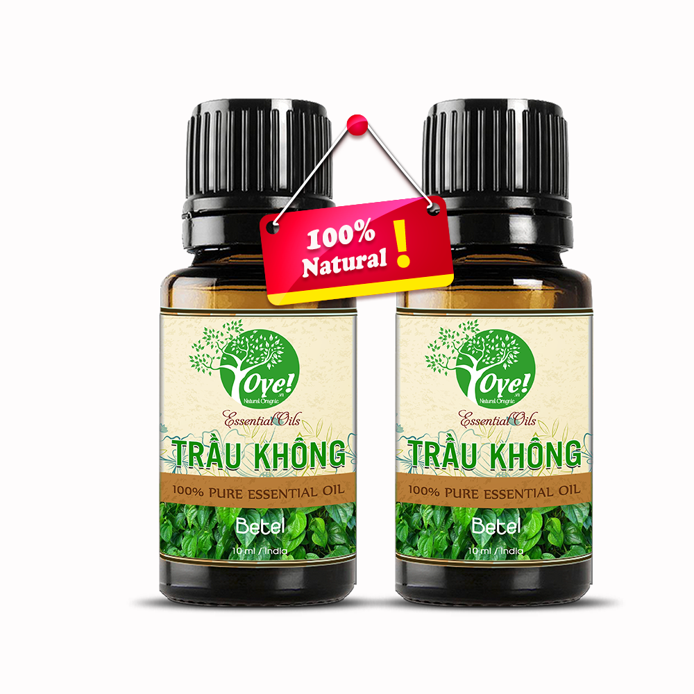 Tinh Dầu Trầu Không 50ml Nguyên Chất