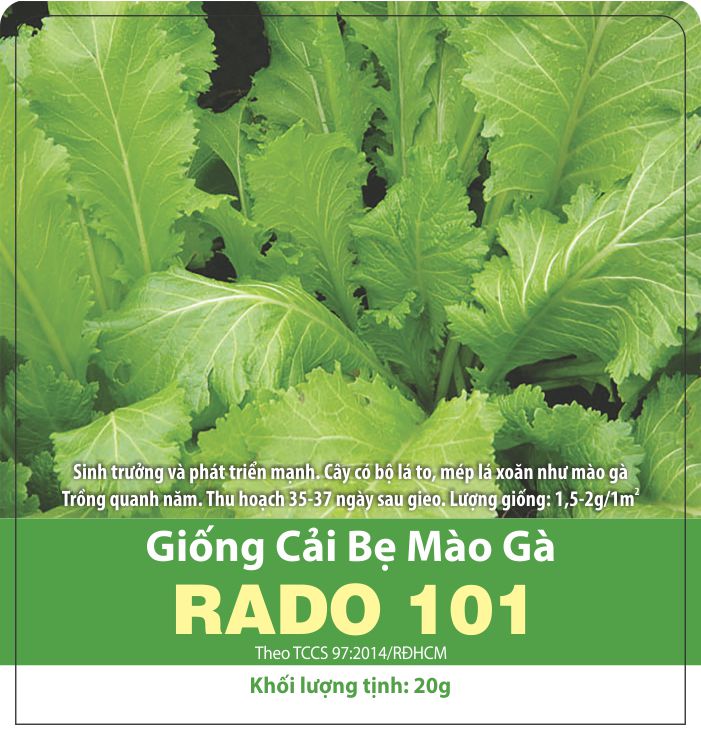Hạt giống cải bẹ mào gà năng suất cao