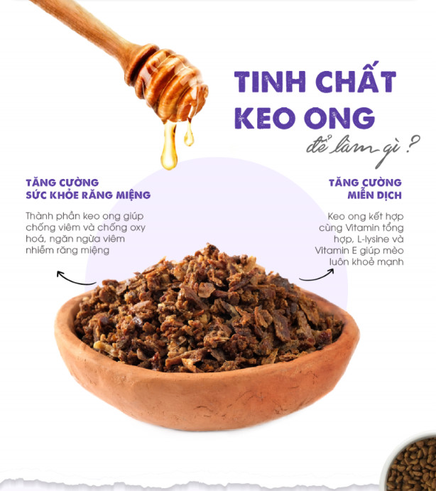 [1KG] Thức ăn hạt  Today's dinner Kitten dành cho mèo nhỏ