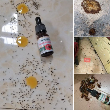 Thuốc diệt kiến gián ANBIO sinh học