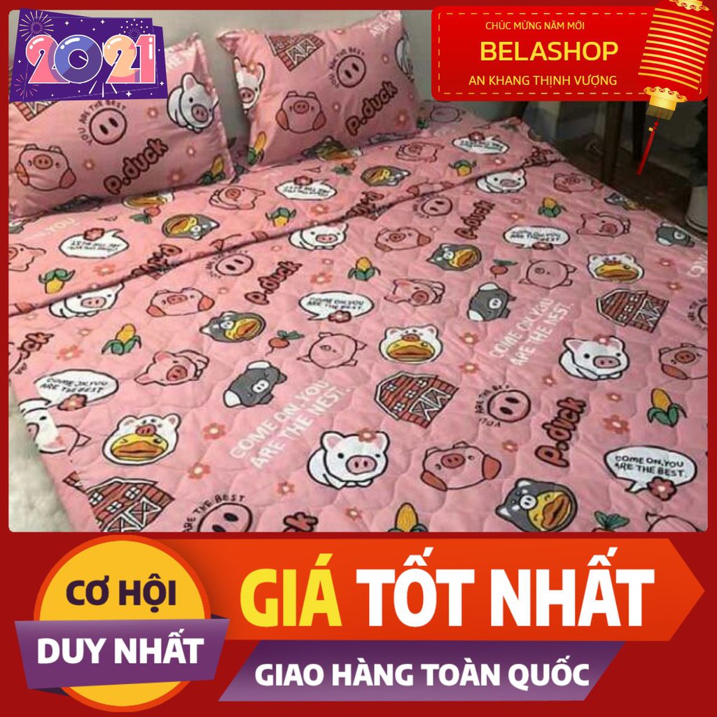 [HCM]Chăn hè thu trần bông 3 lớp poly mền trần bông hàng có sẵn tại tphcm mẫu heo hồng