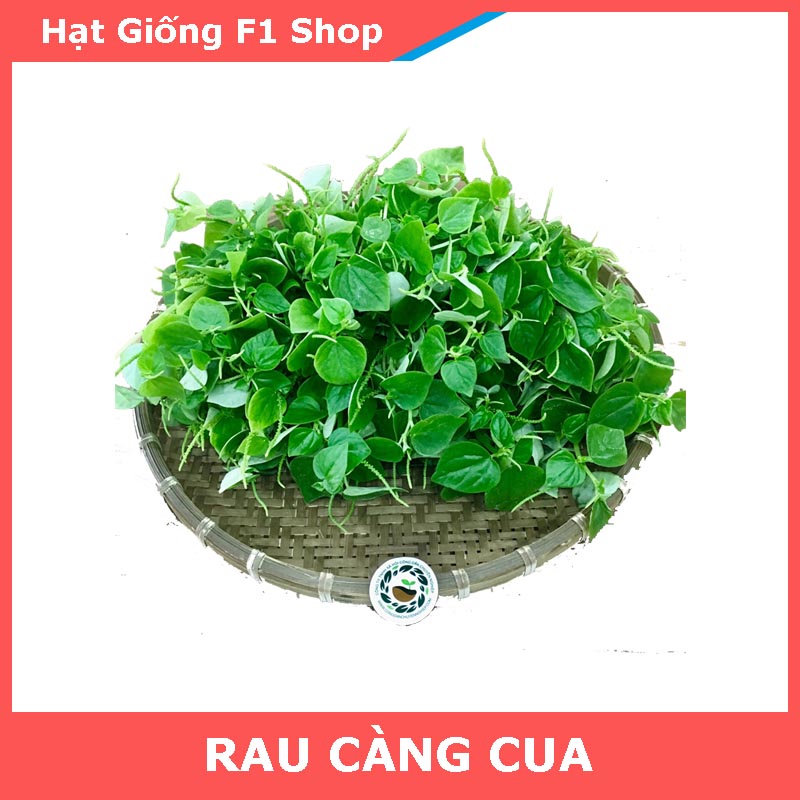 Hạt Giống Rau Càng Cua Giòn Ngon
