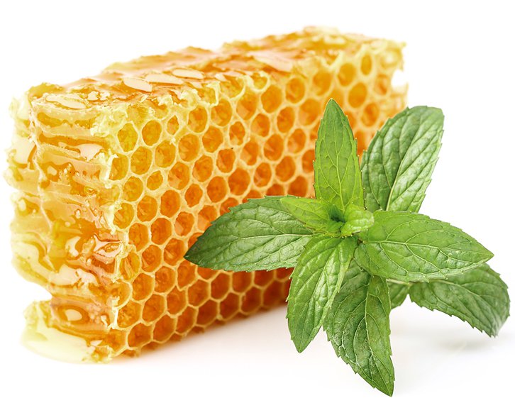 MẬT ONG HOA CÀ PHÊ NGUYÊN CHẤT 100% CÓ BẢO HÀNH  [ CHAI LỚN 1,3 KG ]