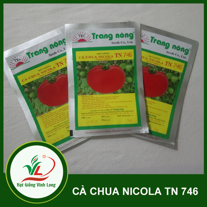 Hạt gống Cà chua F1 TN 746 (797) - 1g(306 hạt)
