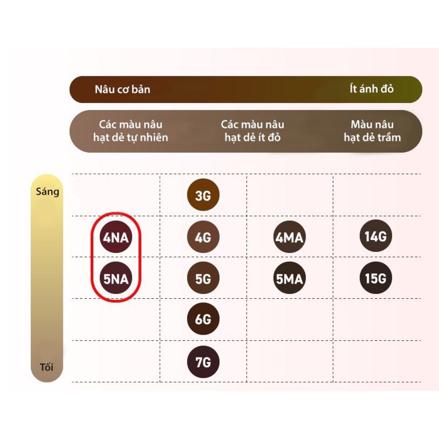 Nhuộm tóc phủ bạc bigen 3G, 4G, 5G, 6G 7G Nhật bản