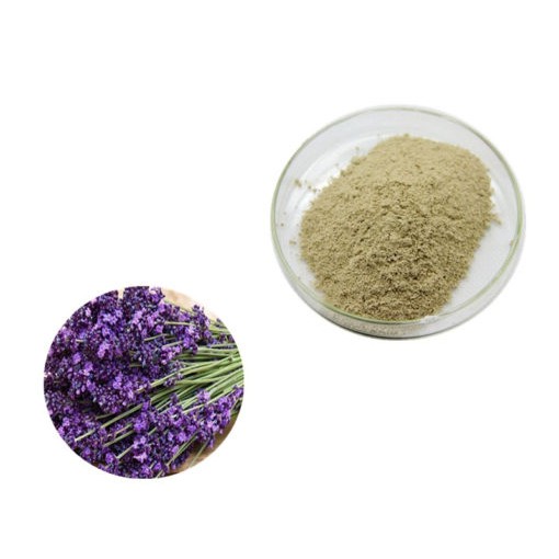 Bột hoa oải hương 500g, hoa lavender, bột huân thảo, thơm mịn, kháng khuẩn