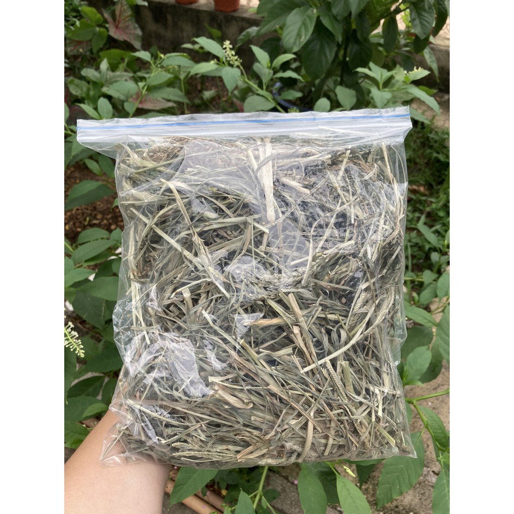 500gr Cỏ Mần Trầu Khô