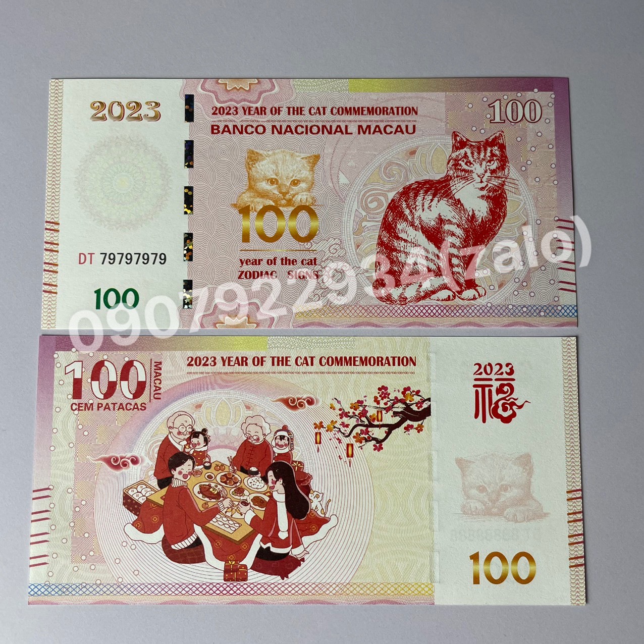 [Mẫu Tết Đoàn Viên, Seri VIP] Combo Mèo Macao lì xì tết Quý Mão 2023