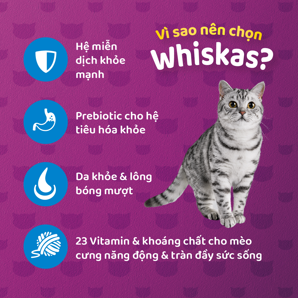 Thức ăn cho mèo Whiskas 400g
