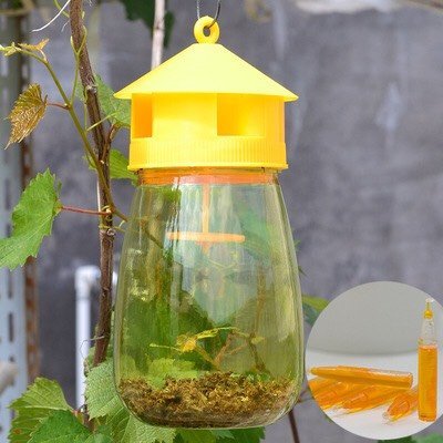 Lồng bẫy ruồi vàng - Bình bẫy ruồi kèm thuốc dẫn dụ