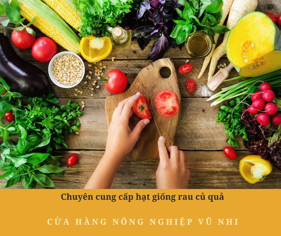 Hạt giống cà chua siêu kháng bệnh F1