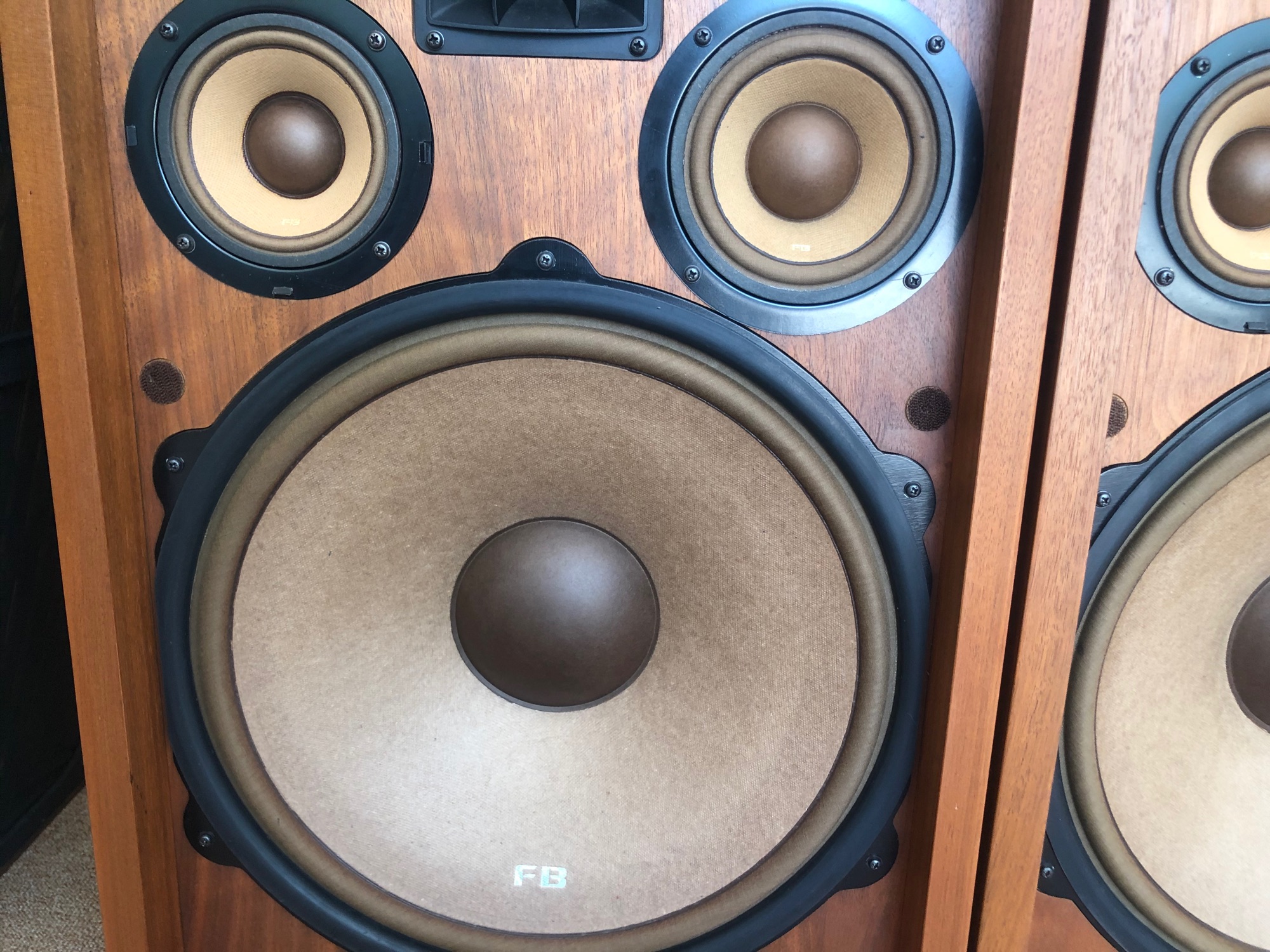Loa Pioneer cs 99A Fb Hoa hậu