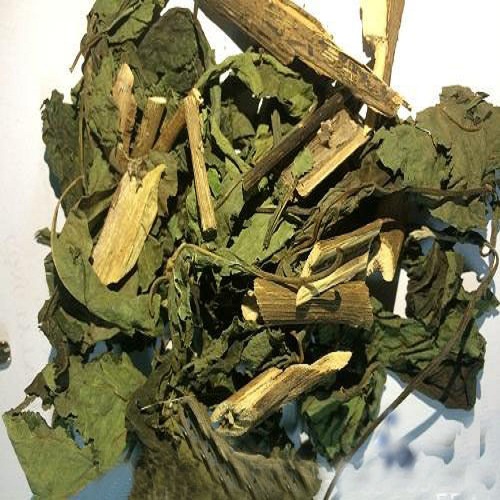 [HOT] Lá cây mật gấu (thân lá) túi lớn loại 1kg sấy khô