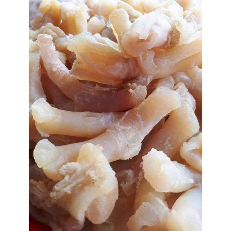 Gân y trâu sống bịch 800g (giao tphcm)