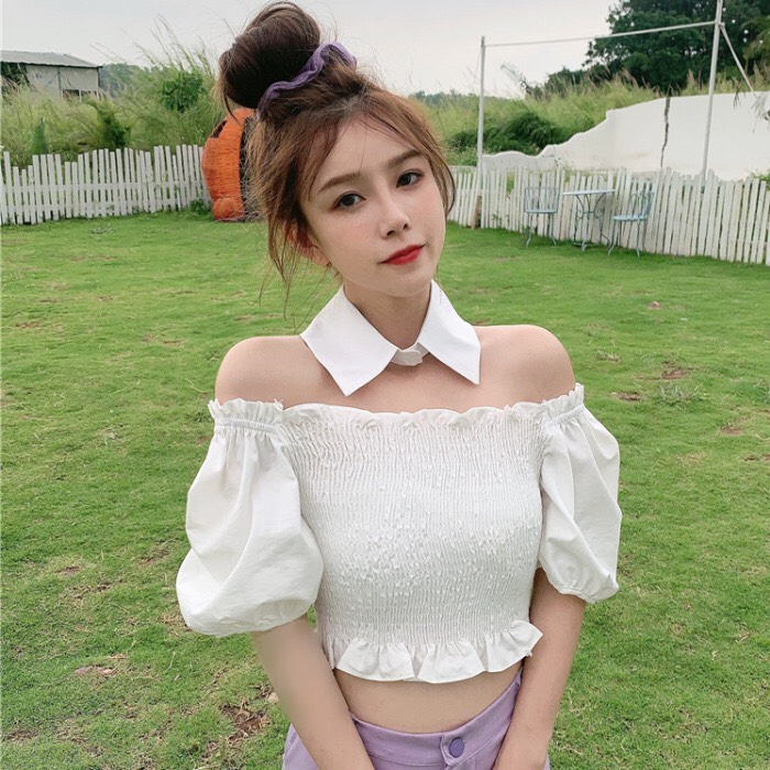 ÁO NHÚN TẶNG KÈ CỔ SƠ MI, PHỤNG HOÀNG