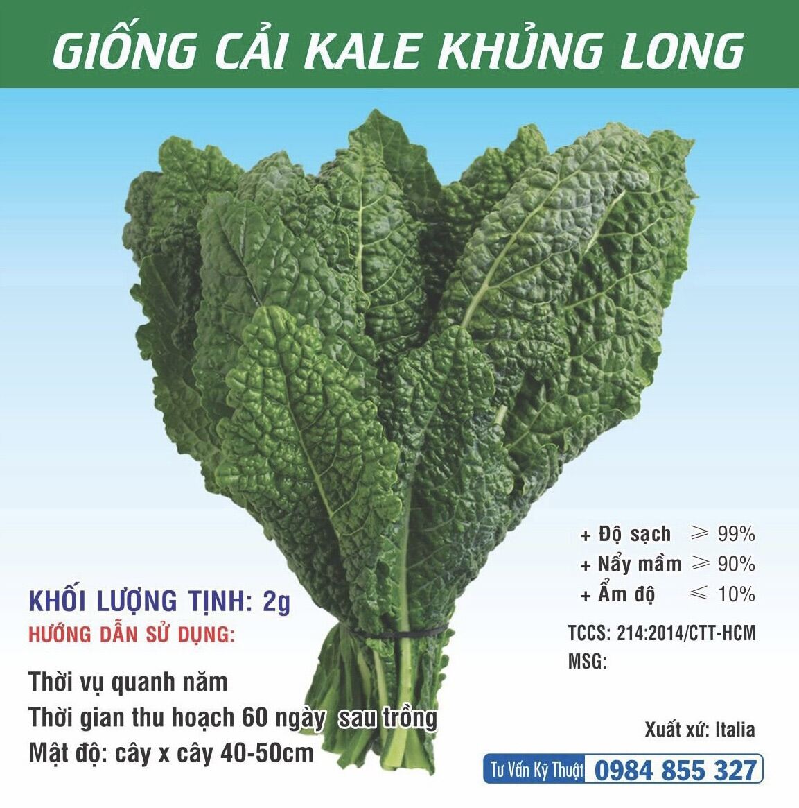 Hạt Giống cải Kale Xanh - Kale tím - Kale Khủng Long
