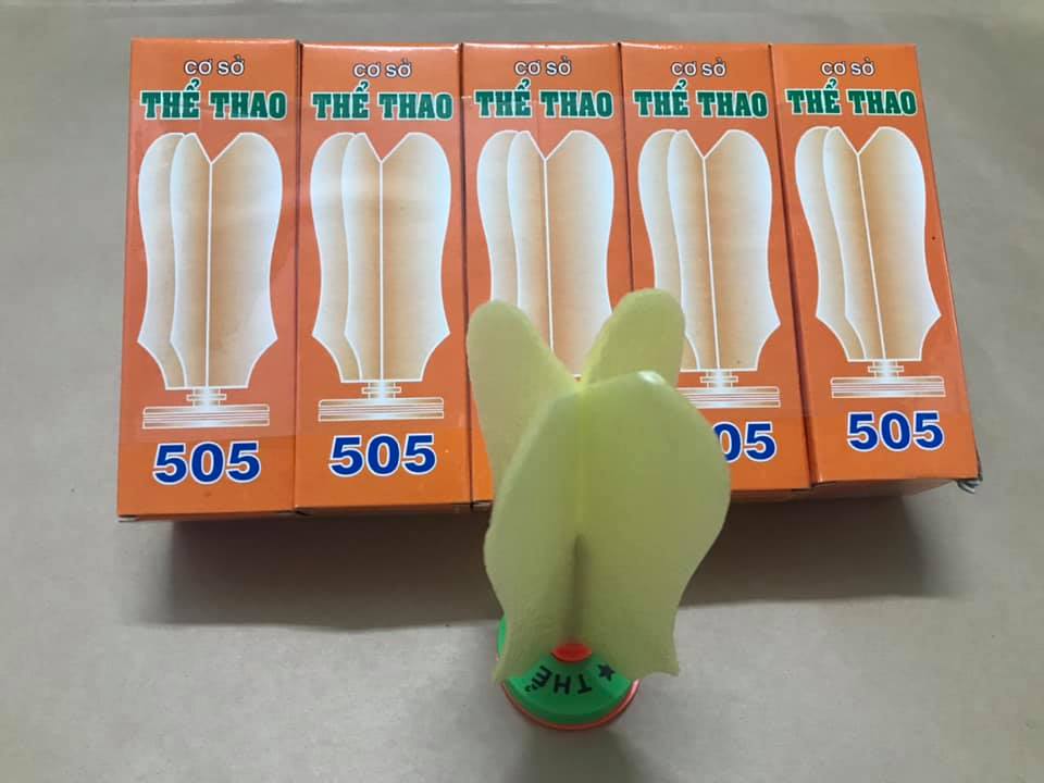 COMBO 2 TRÁI CẦU MÚT 505