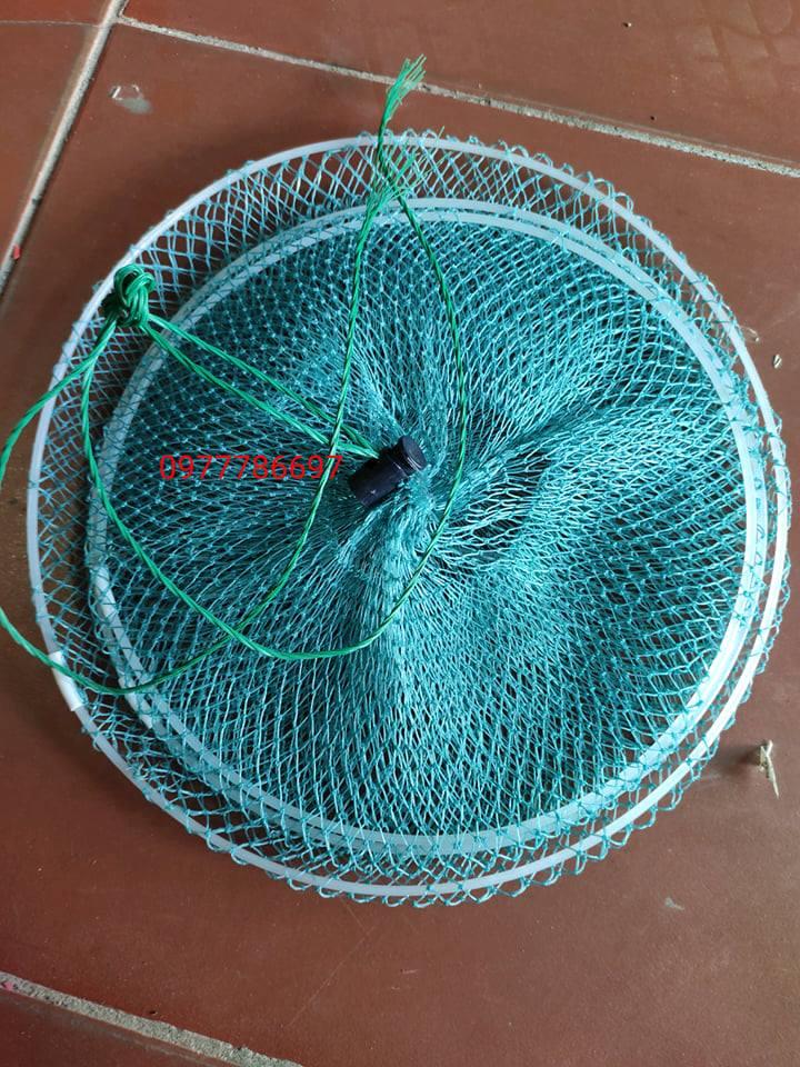 giỏ đựng cá màu xanh