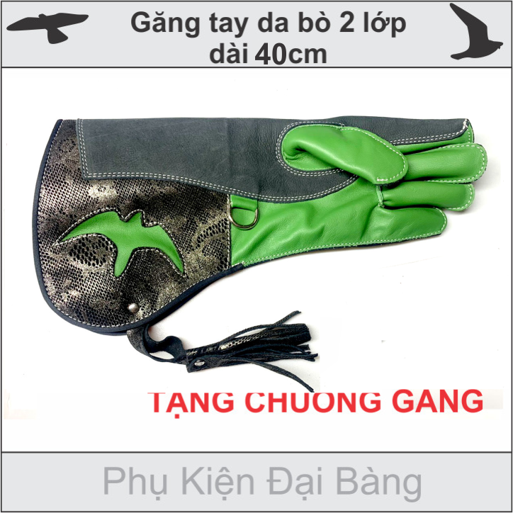 Phụ kiện nuôi chim đại bàng