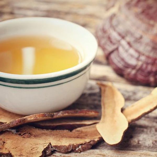 [HCM]Bột Nấm Linh Chi Cao Cấp 100g