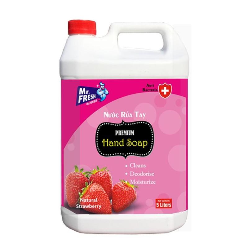 Can Nước (Sữa) rửa tay tiệt trùng Premium Hand Soap Mr Fresh Hàn Quốc 5L GSG280