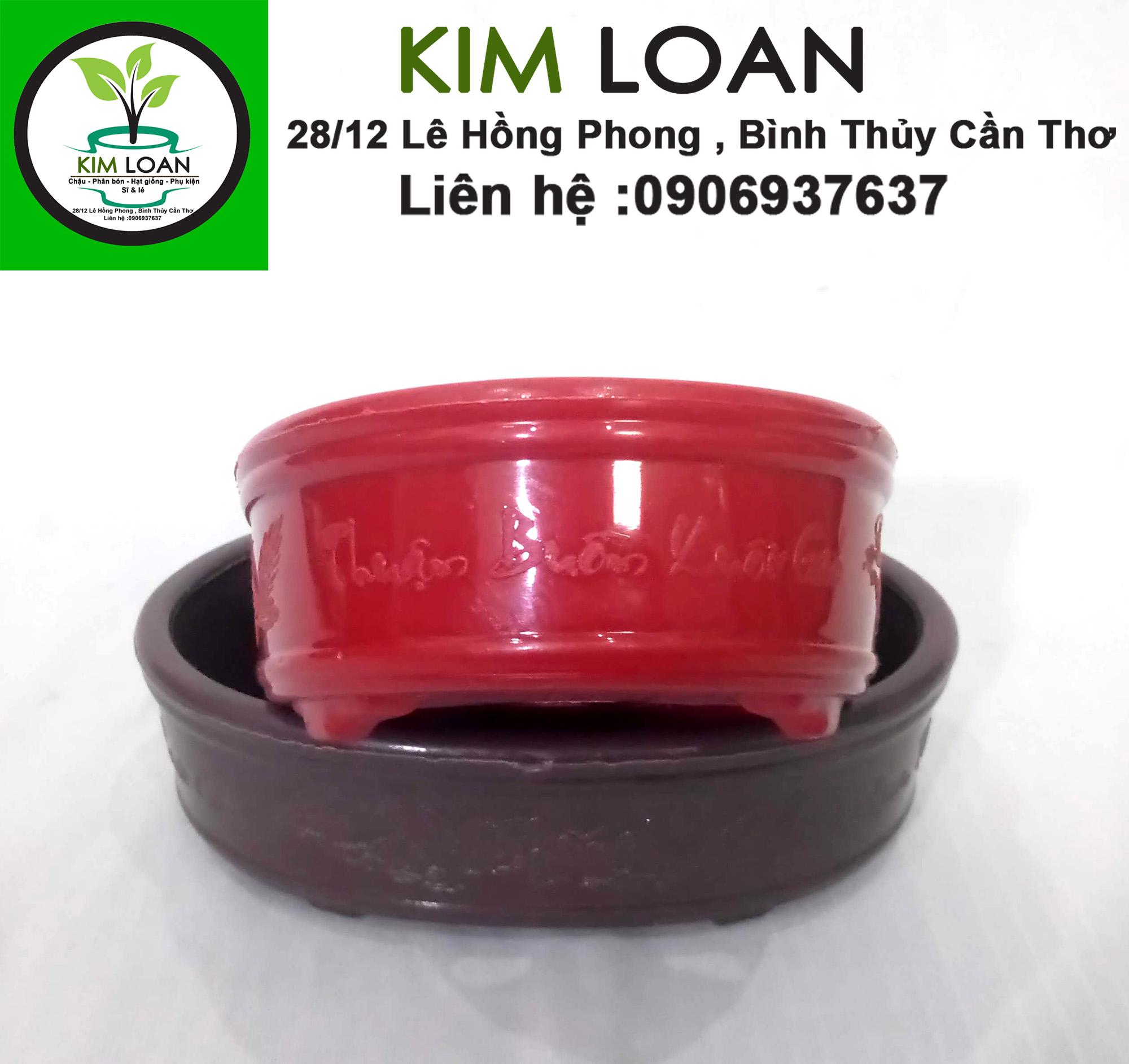 Chậu nhựa bonsai ovan mini 16x12x5cm
