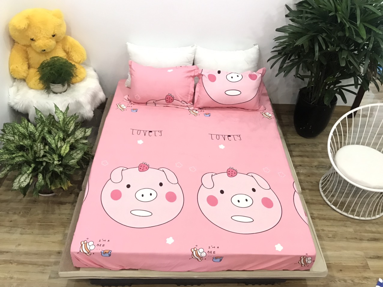 Set Ga Gối 3 Món (Gồm 1 Ga bo chun + 2 Vỏ Gối Nằm) SGG P32