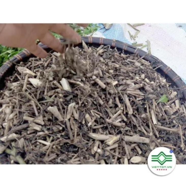 Cây Đuôi Chuột khô 1KG - T191 Tốt Cho Tim Mạch, Tiểu Đường, Huyết Áp