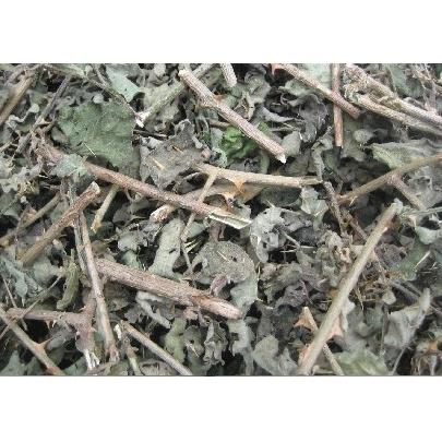 1kg cà gai leo cây