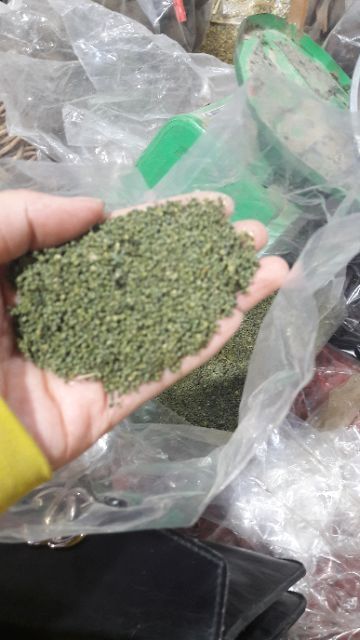 Nụ Tam Thất Bao Tử (1kg)