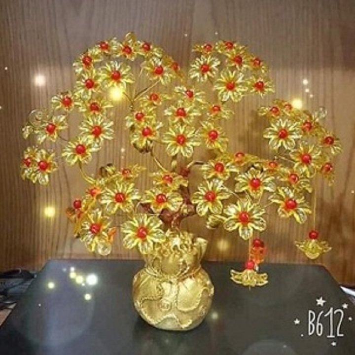 Cây Kim Tiền Tài Lộc ( ảnh thật) SD0679